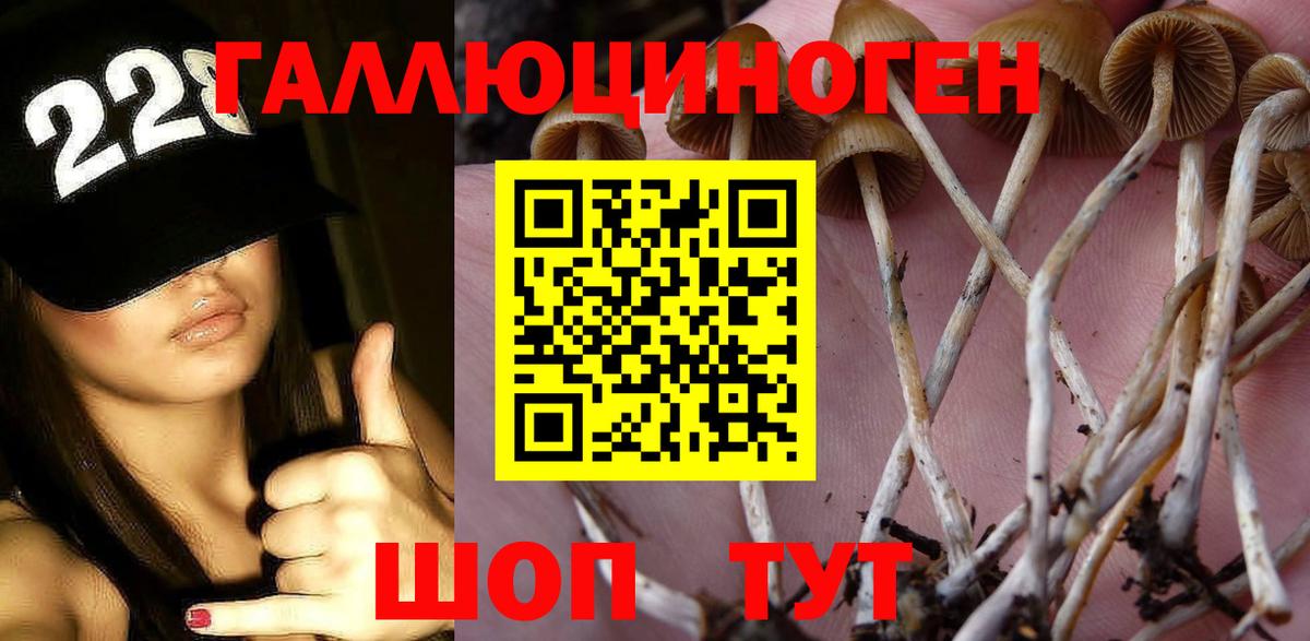 Псилоцибиновые грибы прущие грибы Бугуруслан